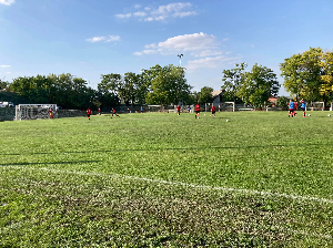 Felnőtt Bajnoki Mérkőzés! Etyek Se - Herceghalom 0-4 (0-1)